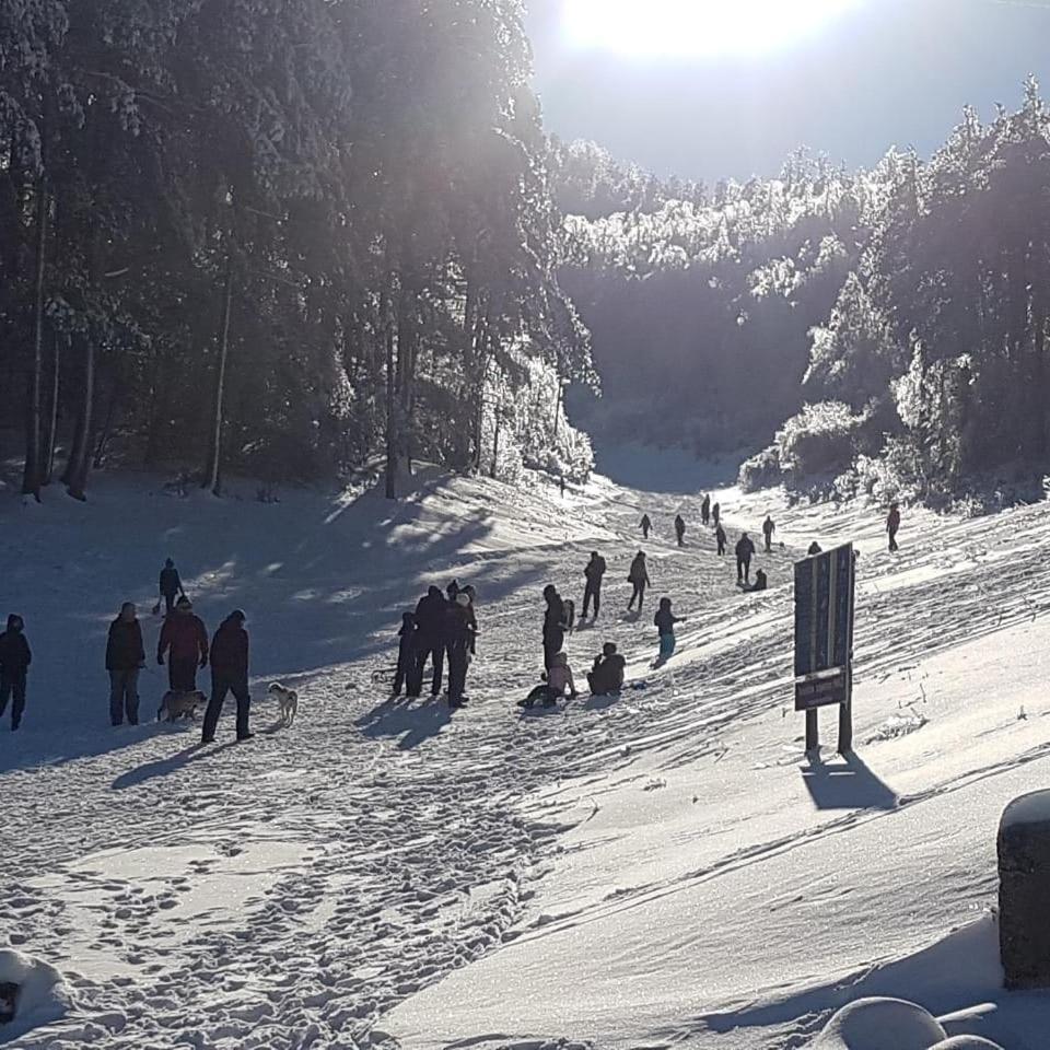 Hotel Snjezna Kuca - Nature Park Of Bosnia Herzegovina Padezina 외부 사진