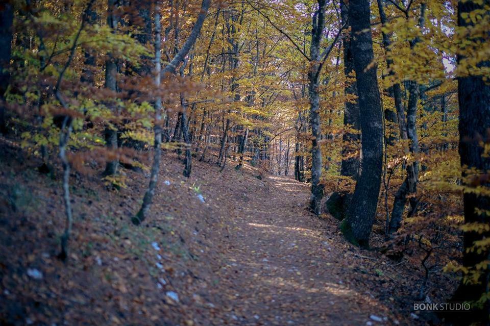 Hotel Snjezna Kuca - Nature Park Of Bosnia Herzegovina Padezina 외부 사진