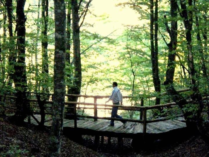 Hotel Snjezna Kuca - Nature Park Of Bosnia Herzegovina Padezina 외부 사진